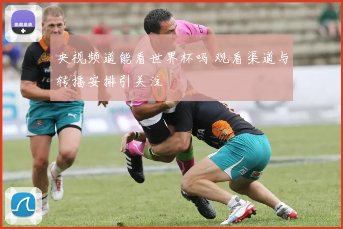 央视频道能看世界杯吗 观看渠道与转播安排引关注