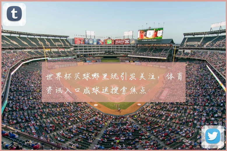 世界杯买球哪里玩引发关注,体育资讯入口成球迷搜索焦点
