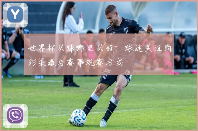 世界杯买球哪里买好:球迷关注购彩渠道与赛事观赛方式