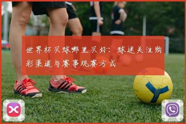 世界杯买球哪里买好：球迷关注购彩渠道与赛事观赛方式
