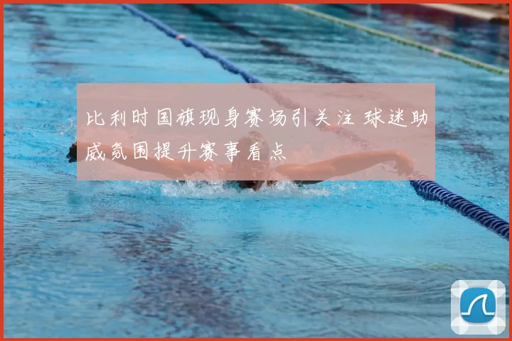 比利时国旗现身赛场引关注 球迷助威氛围提升赛事看点