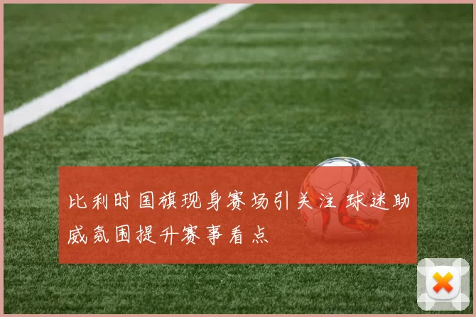 比利时国旗现身赛场引关注 球迷助威氛围提升赛事看点